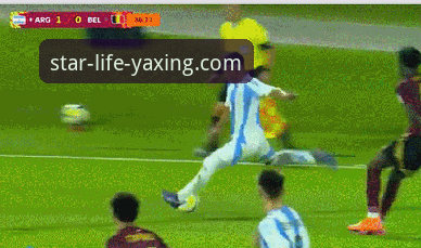 亚星B7C3房车试驾 在亚星娱乐平台沉浸式体验体坛动态:阿根廷新星伤退世界杯完整指南